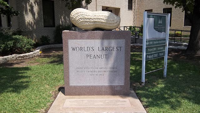 World's Largest Peanut