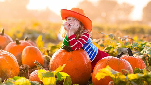 A girl enjoys the fall season at a pumpkin patch.