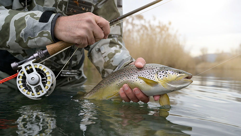 Trout Fishing Tips & Tricks