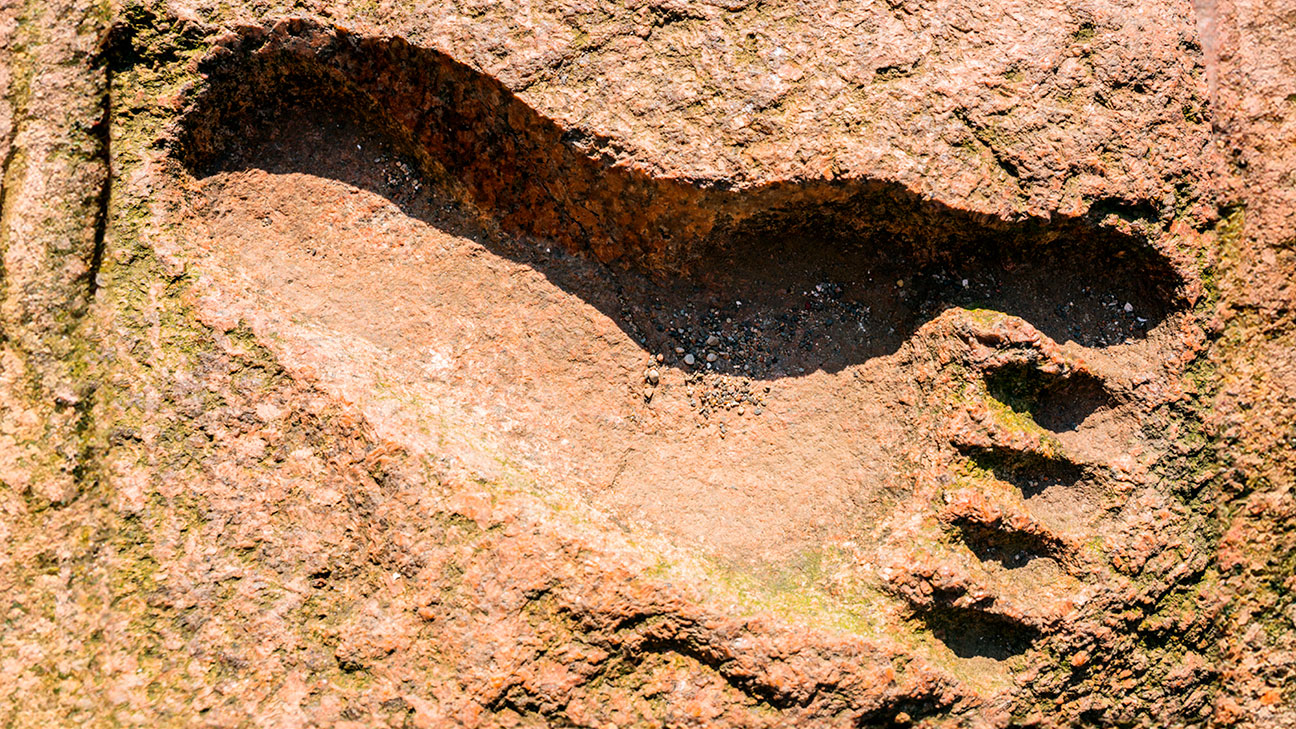 Footprint in rock