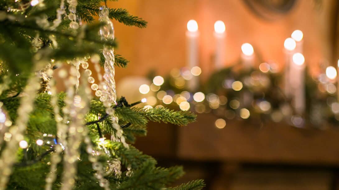 Christmas tree limbs with candles in the background.