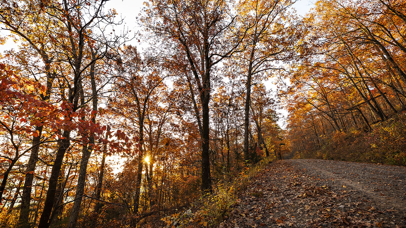 11th Annual First Day Hike