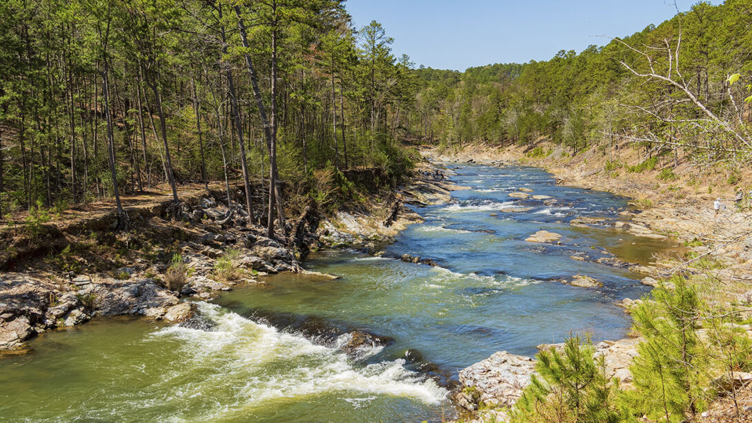 A river flowing with rocks throughout and trees along both sides.