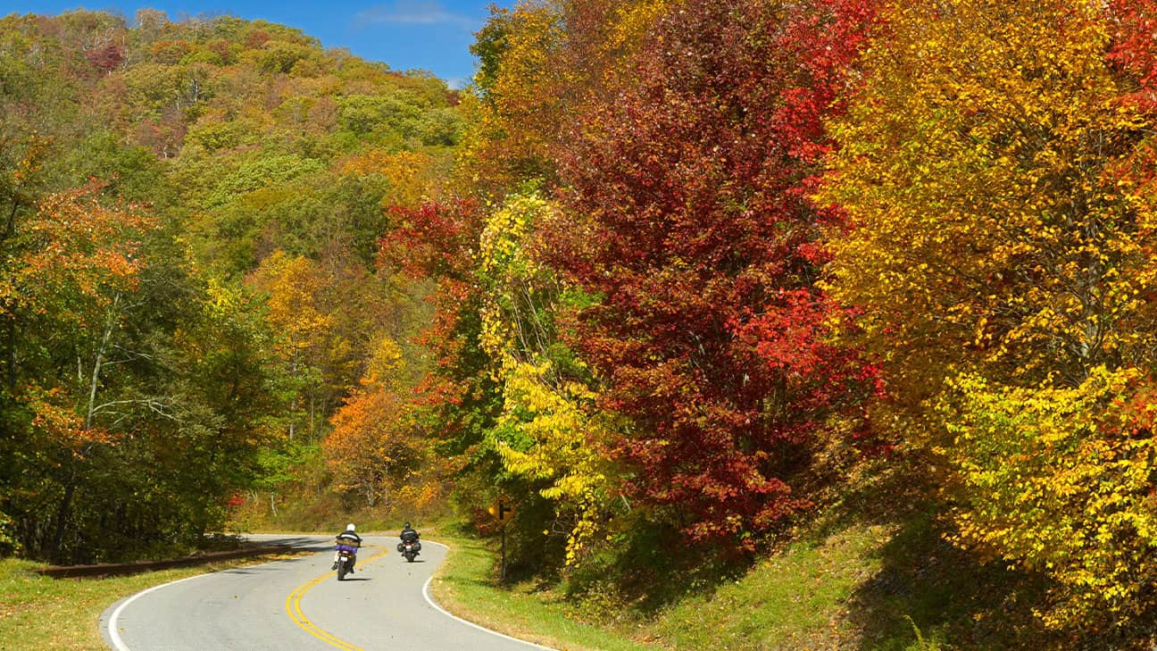Four men are smiling and drinking beer in a brewery.