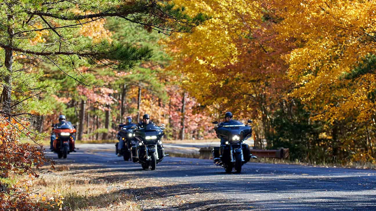 A group of bikers riding through fall foliage.