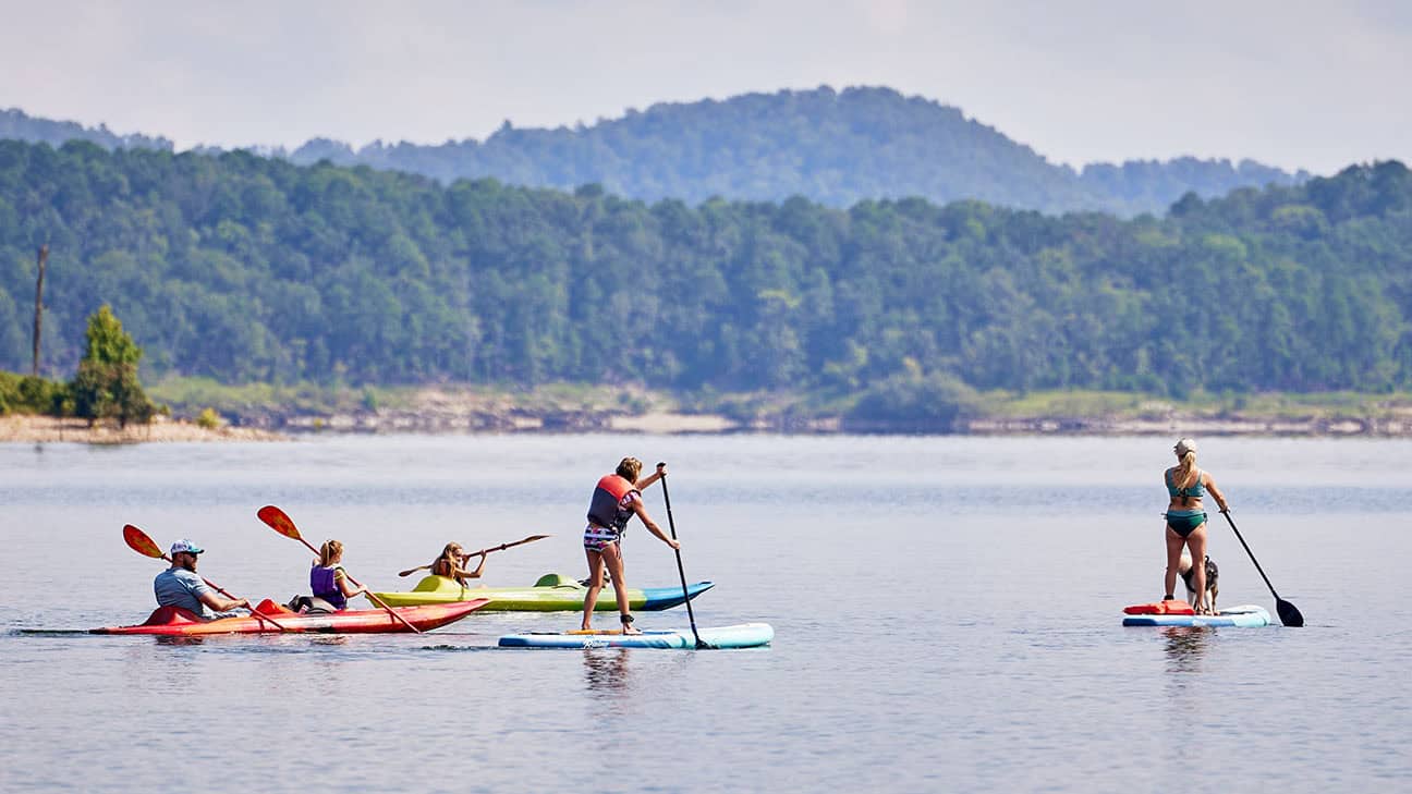 People in the water on paddle boards and kayaks.