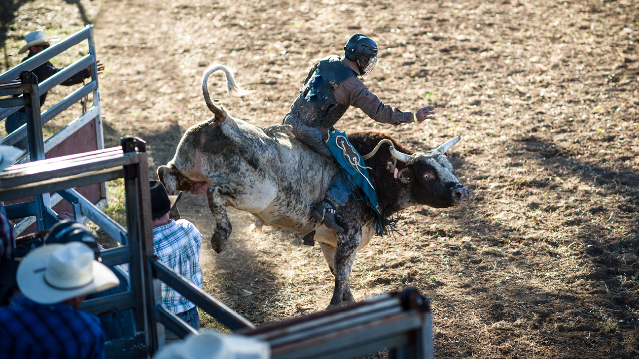 Bull rider coming out of the chute in McAlester